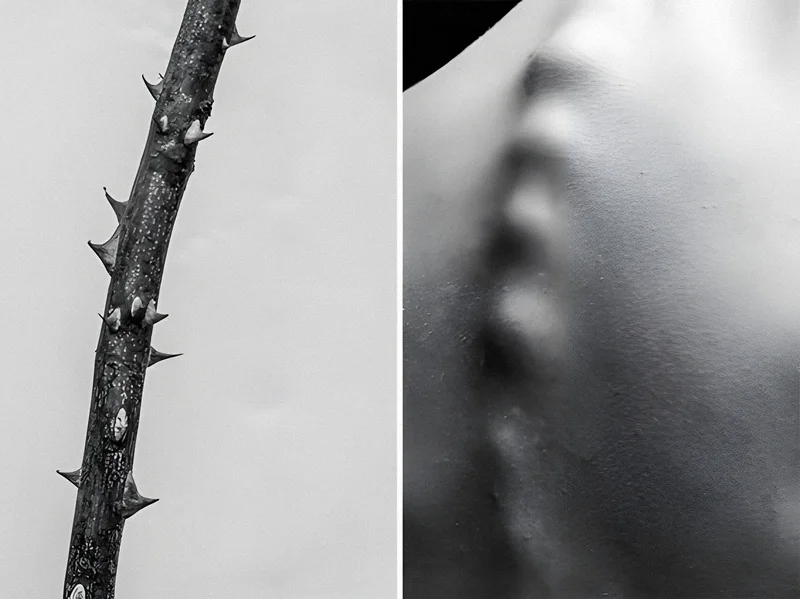 Díptico em preto e branco: um galho de espinhos fotografado ao lado de uma coluna vertebral sob a pele